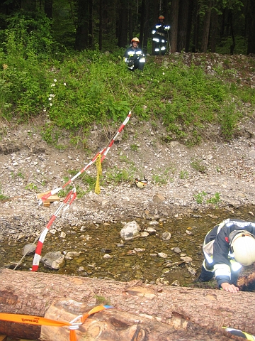 bild (20)